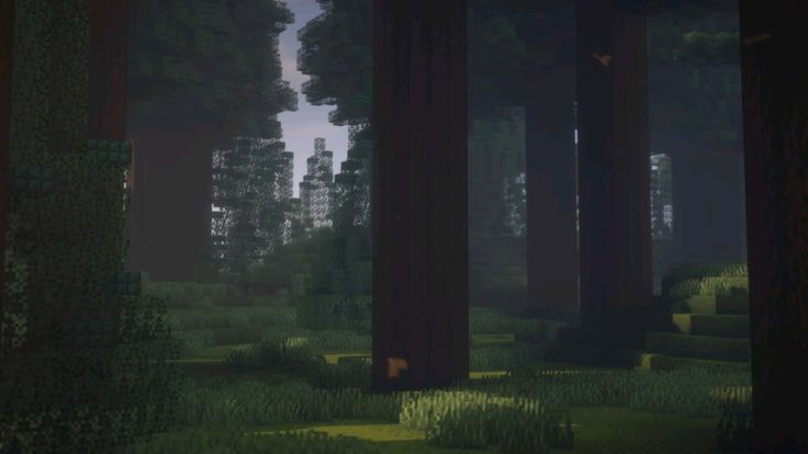Sunlight through a dense Minecraft forest